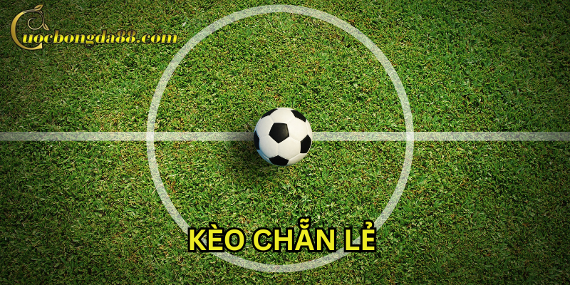 Áp dụng đúng cách khi chơi Kèo Chẵn Lẻ
