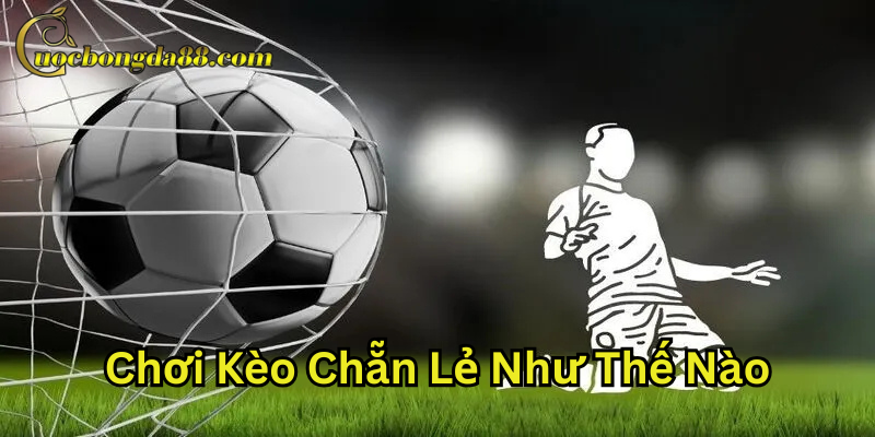 Chơi Kèo Chẵn Lẻ Như Thế Nào như thế nào cho chính xác