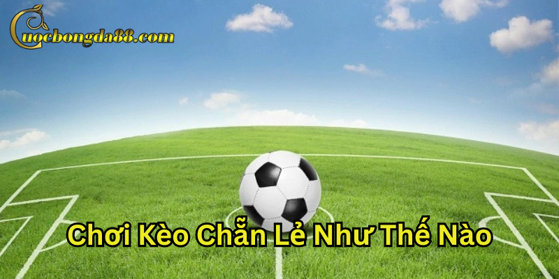 Chơi Kèo Chẵn Lẻ Như Thế Nào?