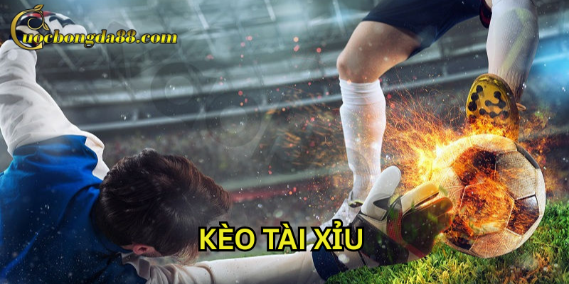 Giải mã sức hấp dẫn của Kèo Tài Xỉu