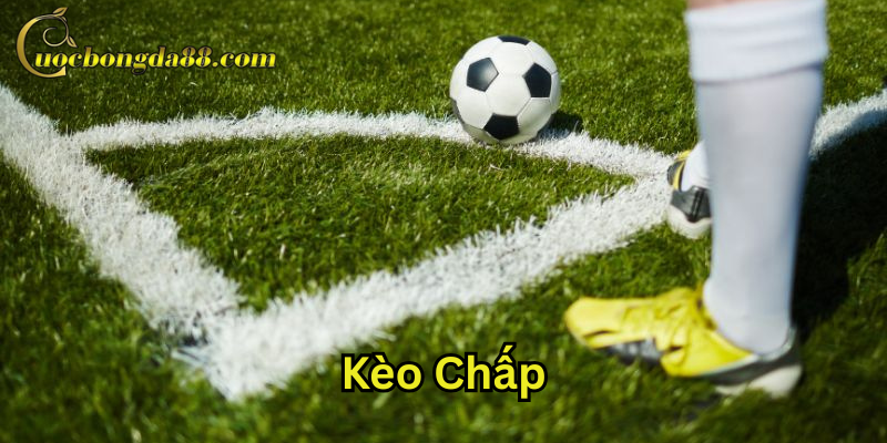 Lời khuyên từ cao thủ khi chơi Kèo Chấp Phạt Góc