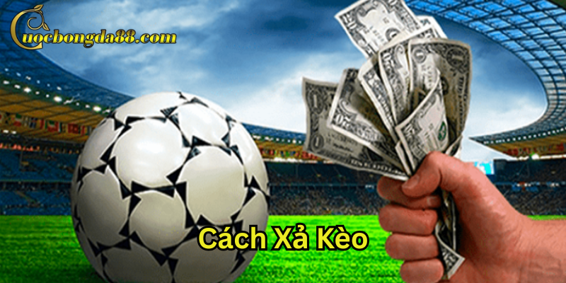 Lưu ý khi quyết định Xả Kèo sau khi đặt cược