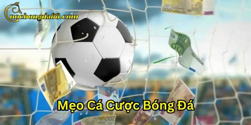 Mẹo Cá Cược Bóng Đá có gì đặc biệt?