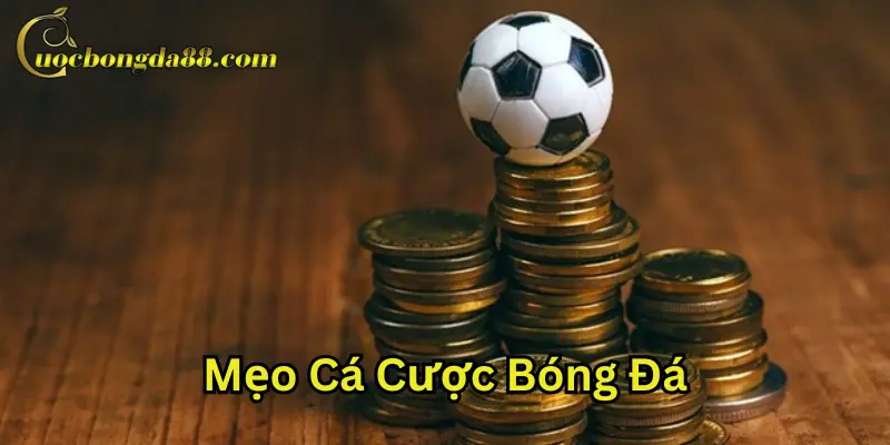 Mẹo Cá Cược Bóng Đá là gì?