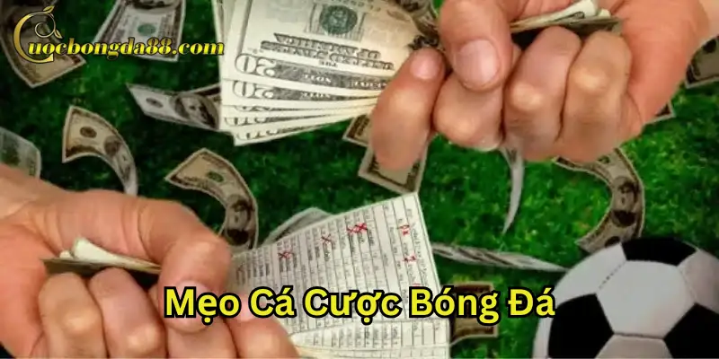 Mẹo Cá Cược Bóng Đá từ cao thủ lâu năm