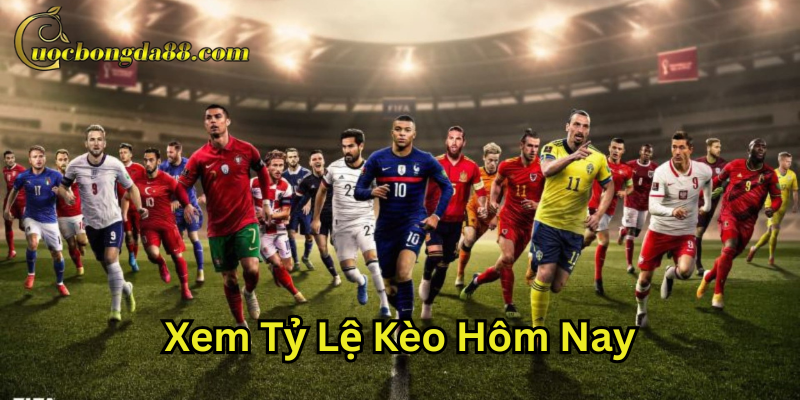 Xem Tỷ Lệ Kèo Hôm Nay là gì?