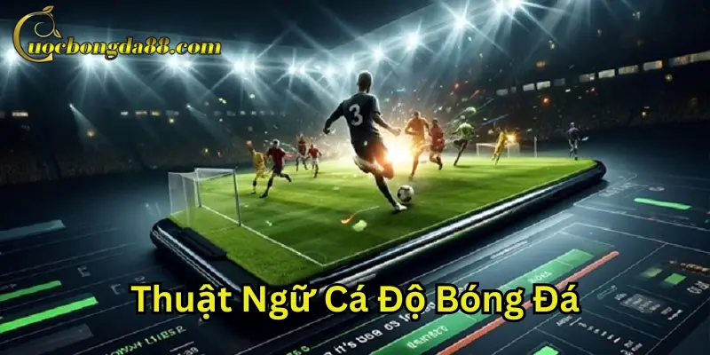 Các thuật ngữ cá độ bóng đá phổ biến nhất