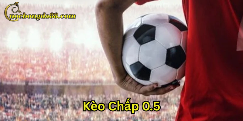 Kèo chấp 0.5 hoạt động như thế nào?