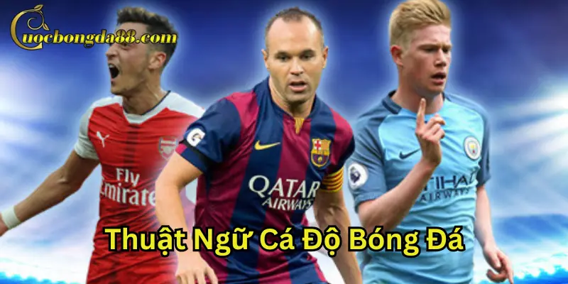 Lý do người chơi cần phải hiểu rõ về thuật ngữ cá độ bóng đá