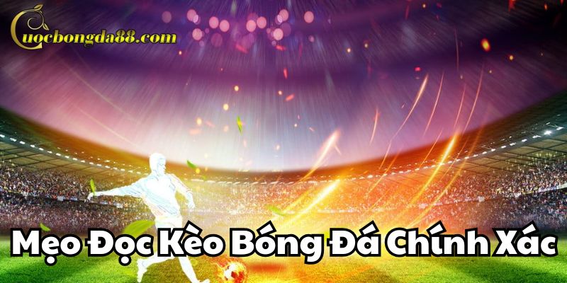 Mẹo Đọc Kèo Bóng Đá Chính Xác từ cao thủ