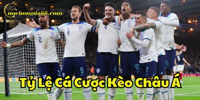Hướng dẫn đọc Tỷ Lệ Cá Cược Kèo Châu Á chính xác