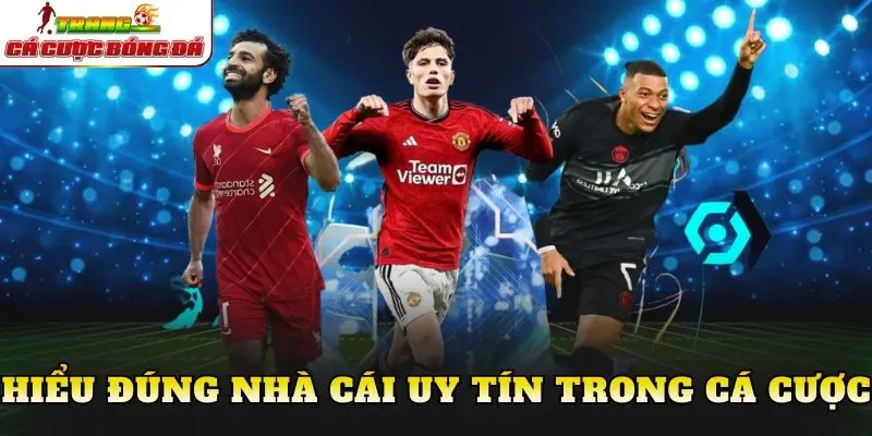 Hiểu đúng nhà cái uy tín trong cá cược