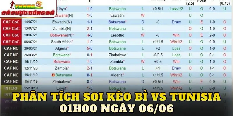 Phân tích soi kèo Bỉ vs Tunisia 01h00 ngày 06/06