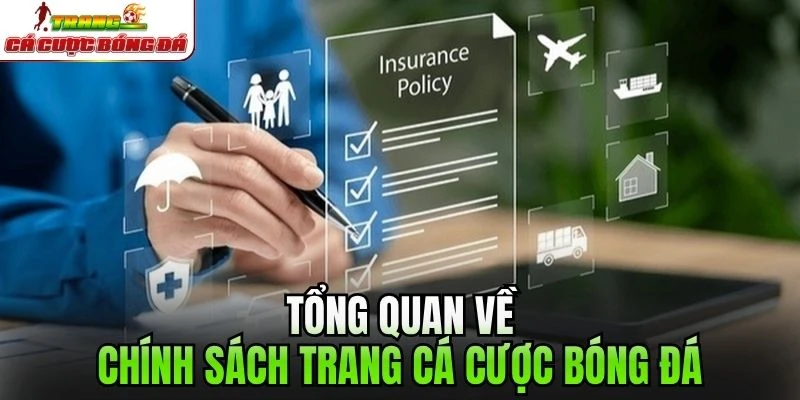 Tổng quan về chính sách Trang cá cược bóng đá
