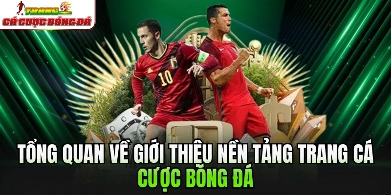 Tổng quan về giới thiệu nền tảng trang cá cược bóng đá