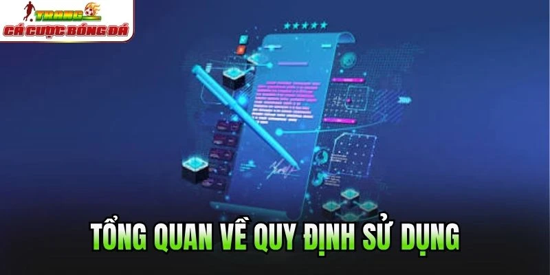 Tổng quan về quy định sử dụng