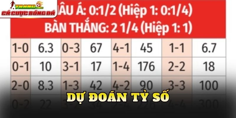 Dự đoán tỷ số