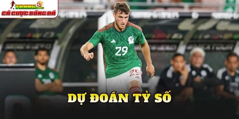 Dự đoán tỷ số