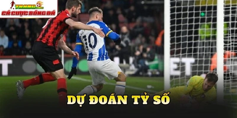 Dự đoán tỷ số