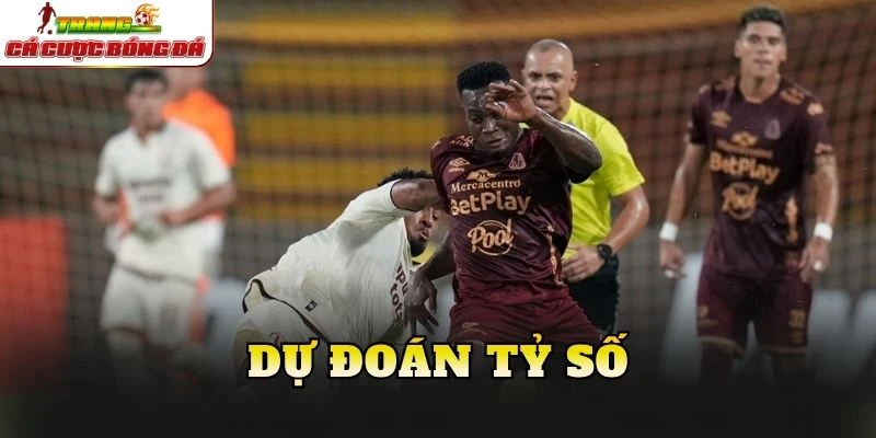 Dự đoán tỷ số
