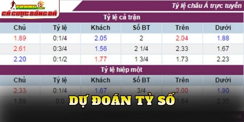 Dự đoán tỷ số