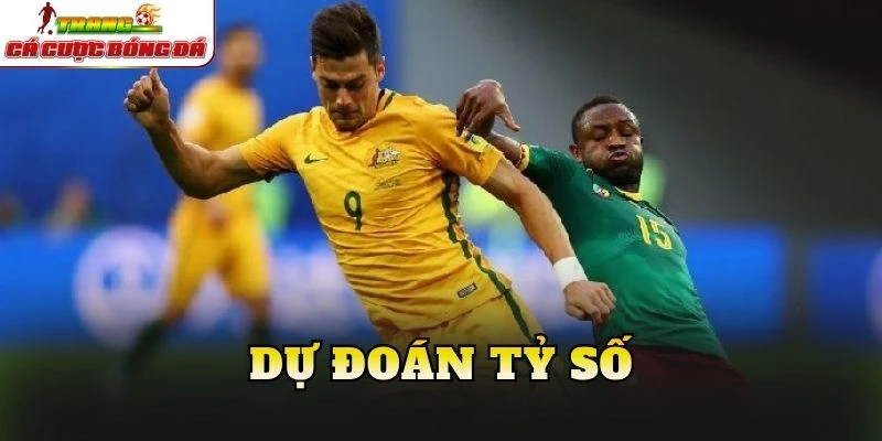 Dự đoán tỷ số