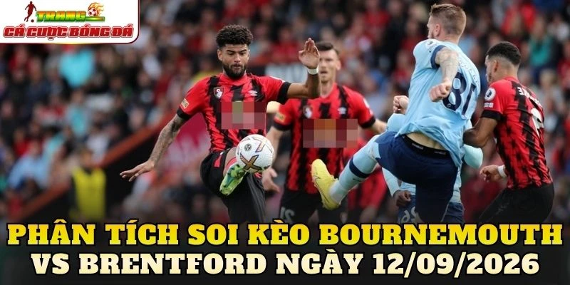 Phân tích soi kèo Bournemouth vs Brentford ngày 12/09/2026