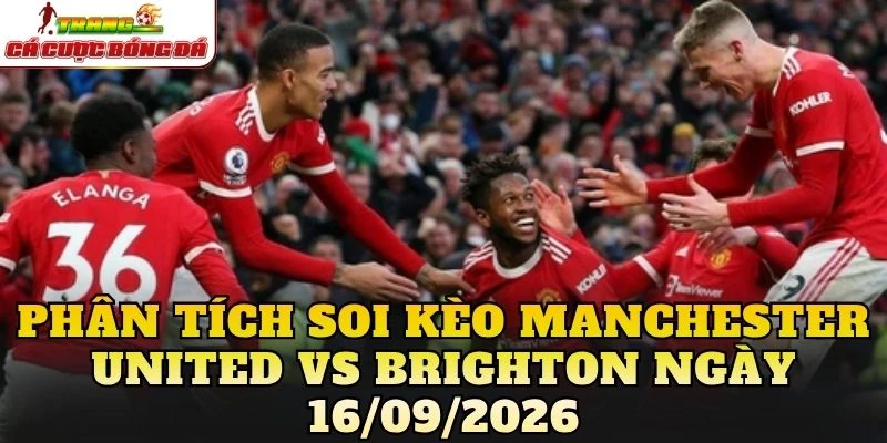 Phân tích soi kèo Manchester United vs Brighton ngày 16/09/2026