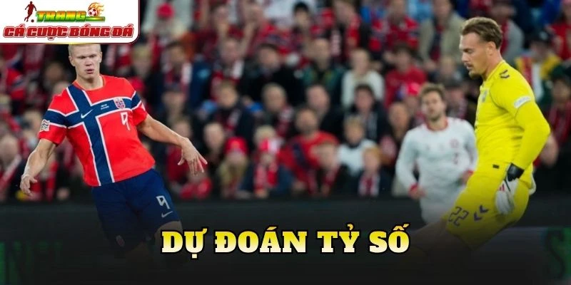 Dự đoán tỷ số
